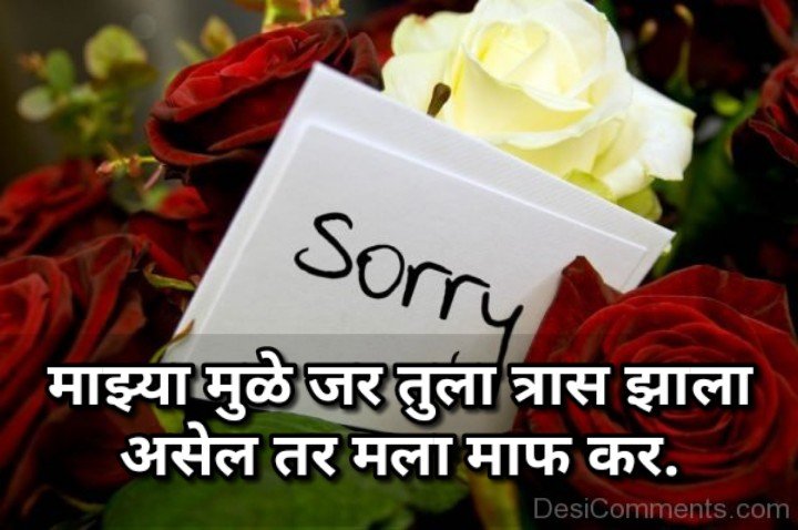 Sorry message for friend